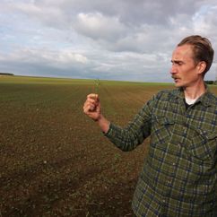 Öko-Bauer steht vor seinem Feld und hält eine Pflanze in der Hand