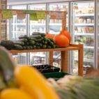 Frisches Obst und Gemüse