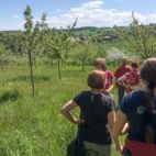 Menschen laufen auf Streuobstwiese