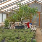 Blick in ein Gewächshaus mit Bio-Kräutern und einer Sitzgruppe