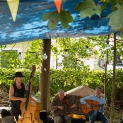 Eine Band mit drei Mitgliedern spielt bei Sonnenschein unter einem Baldachin und unter Bäumen
