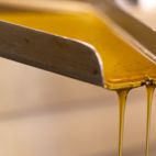 Frisch gepresstes Rapsöl