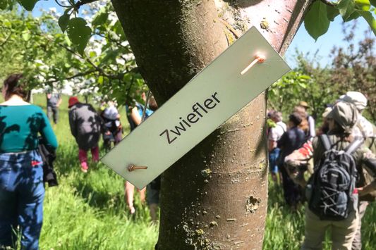 Ein Apfelbaum mit Schild "Zwiefler" im Hintergrund Menschen