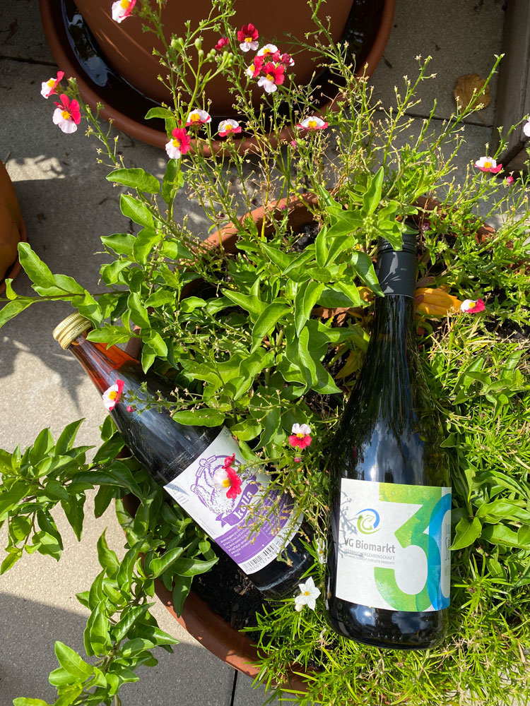 Eine Kolle-Mate Flasche und eine Flasche Jubiläumssecco der VG