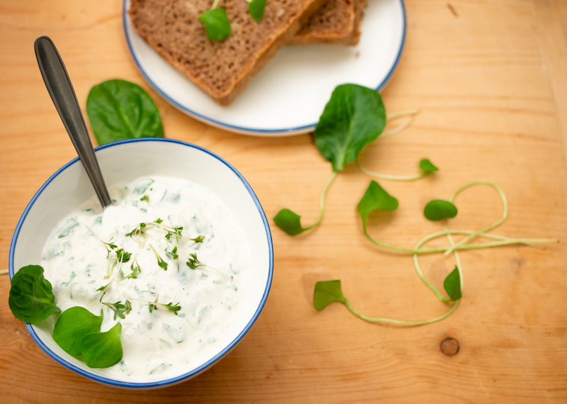 Quark mit Postelein, Kresse und Spinat